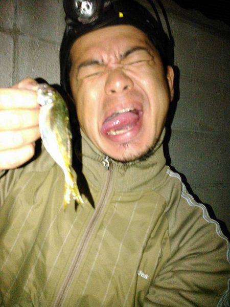 今秋、初ナイトアジング！